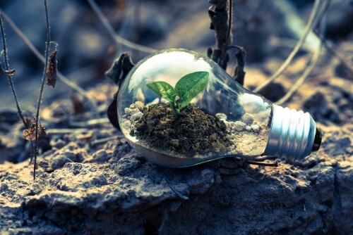 Transizione ecologica, opportunità per le imprese. Webinar il 14 aprile
