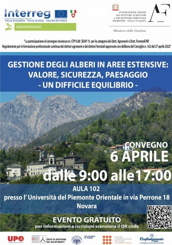 Gestione degli alberi in aree estensive: valore, sicurezza, paesaggio – un difficile equilibrio