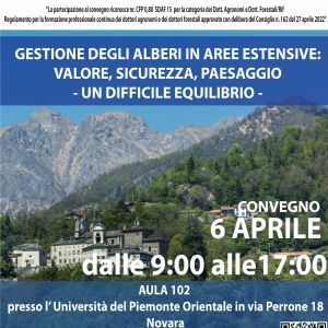 Gestione degli alberi in aree estensive: valore, sicurezza, paesaggio – un difficile equilibrio