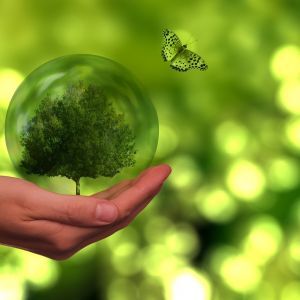 Contributi a fondo perduto dalla Camera di commercio per gli investimenti green - SCADUTO