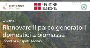 "Rinnovare il parco generatori domestici a biomassa. Incentivi e aspetti tecnici