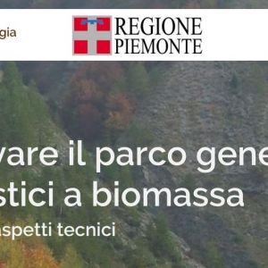 "Rinnovare il parco generatori domestici a biomassa. Incentivi e aspetti tecnici