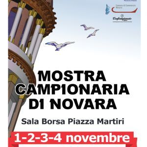 Spazi gratuiti alle imprese associate a Novara Expocasa (1-4 novembre 2018)