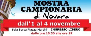 Dal 1° al 4 novembre ritorna la Campionaria di Novara: sei associati di Confartigianato sono in Fiera