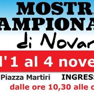 Dal 1° al 4 novembre ritorna la Campionaria di Novara: sei associati di Confartigianato sono in Fiera