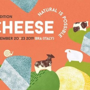 Anche i formaggi del Piemonte Orientale in mostra a "Cheese": ecco come partecipare
