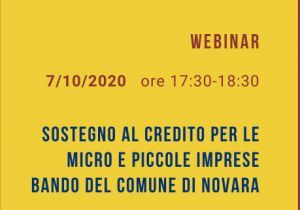 Bando del Comune di Novara: un webinar spiega come partecipare