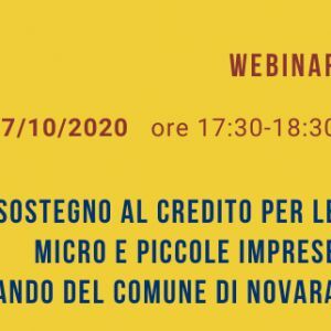 Un webinar spiega come partecipare al bando del Comune di Novara - BANDO ANCORA APERTO