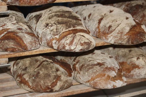 Domodossola: servizio a domicilio generi alimentari