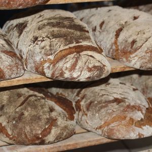 Domodossola: servizio a domicilio generi alimentari