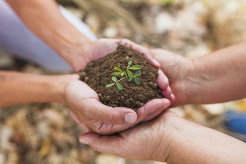 Contributi a fondo perduto alle imprese agroindustriali