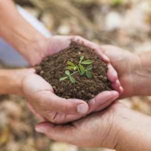 Contributi a fondo perduto alle imprese agroindustriali