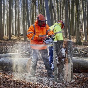 La sicurezza negli interventi forestali: un incontro gratuito a Varallo 