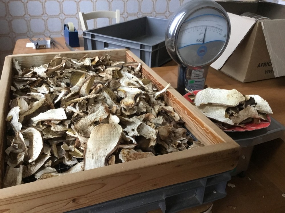 La ricetta segretissima del nonno Gino per i funghi Fontana