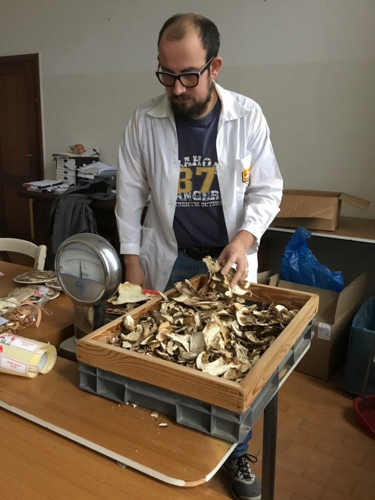 La ricetta segretissima del nonno Gino per i funghi Fontana